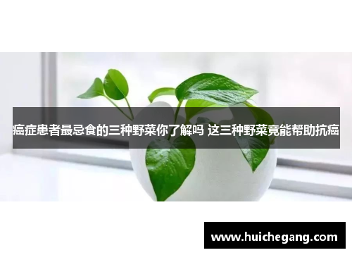 癌症患者最忌食的三种野菜你了解吗 这三种野菜竟能帮助抗癌