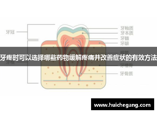 牙疼时可以选择哪些药物缓解疼痛并改善症状的有效方法 牙疼时可以选择哪些药物缓解疼痛并改善症状的有效方法